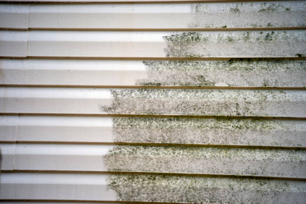 Best Construction Debris Removal  in North Amityville, NY